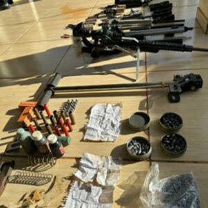 PCGO descobre fábrica clandestina de armas durante investigação de maus-tratos a animal