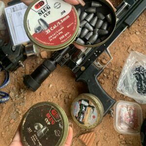 PCGO descobre fábrica clandestina de armas durante investigação de maus-tratos a animal