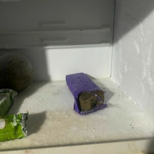 ‘Operação Palíndromo’: PCGO cumpre 111 medidas judiciais contra o crime organizado