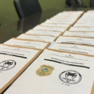 ‘Operação Palíndromo’: PCGO cumpre 111 medidas judiciais contra o crime organizado