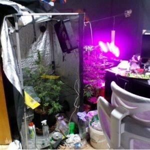 ‘Peso da Lei’ : PCGO prende investigados por venda ilegal de medicamentos para emagrecimento