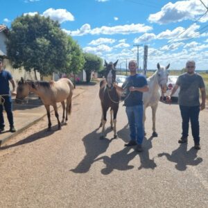 PCGO Identifica e apreende três adolescentes suspeitos de cometerem diversos furtos sequenciais de equinos em diferentes setores em Porangatu
