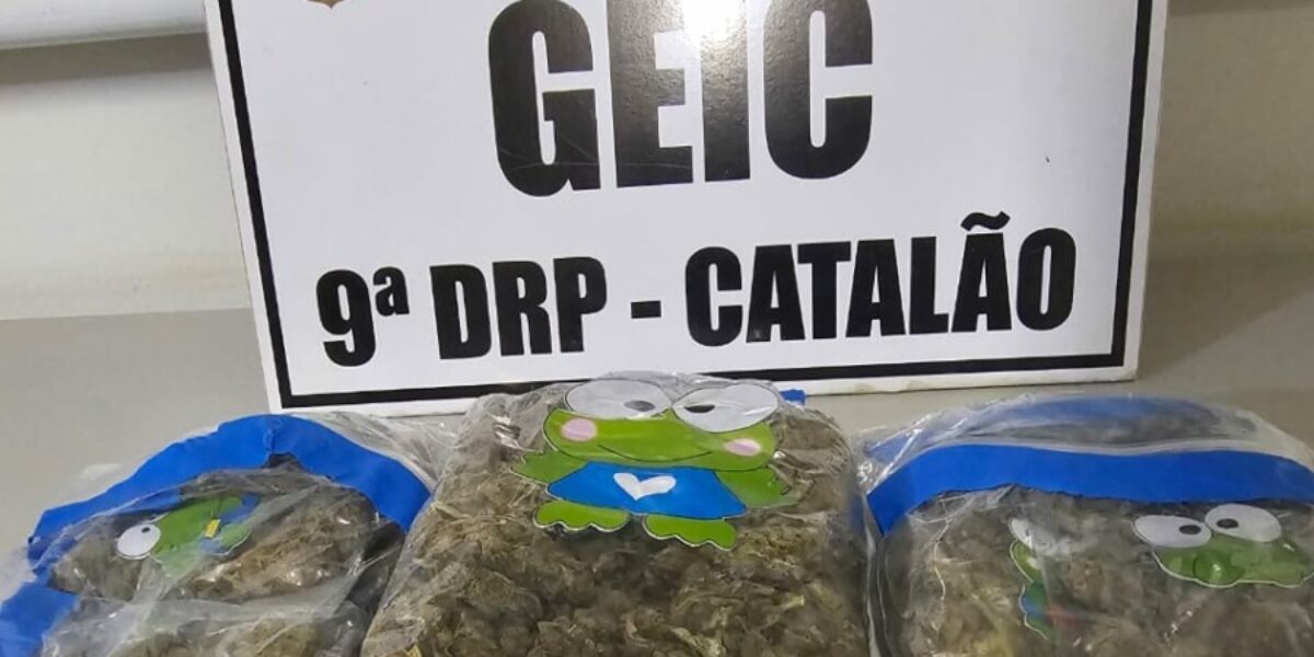 PCGO apreende super maconha e prende homem em flagrante em Catalão