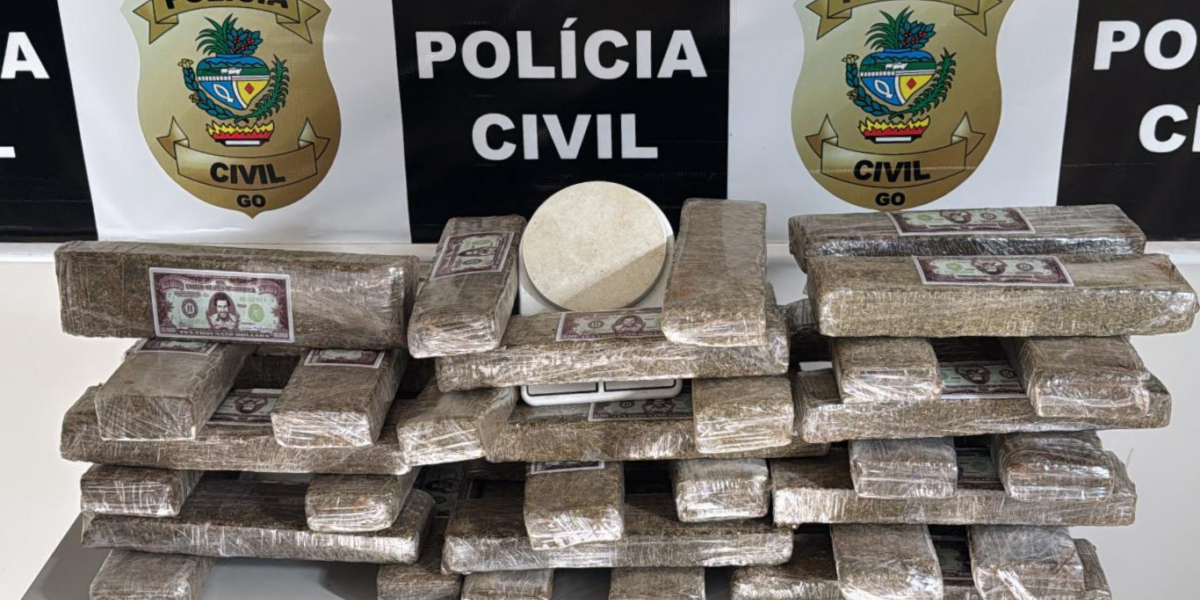 PCGO apreende quase 40 kg de maconha e prende suspeito de tráfico de drogas em Catalão