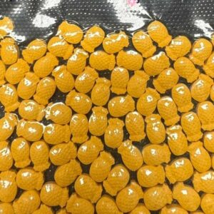 PCGO deflagra Operação Última Dose e apreende ecstasy avaliado em R$ 100 mil em Anápolis