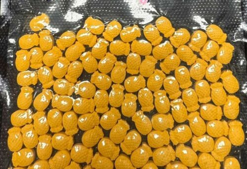 PCGO deflagra Operação Última Dose e apreende ecstasy avaliado em R$ 100 mil em Anápolis