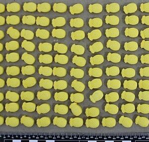 PCGO deflagra Operação Última Dose e apreende ecstasy avaliado em R$ 100 mil em Anápolis