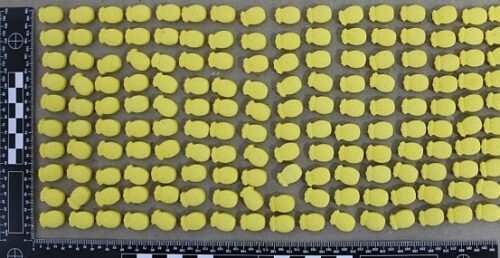 PCGO deflagra Operação Última Dose e apreende ecstasy avaliado em R$ 100 mil em Anápolis