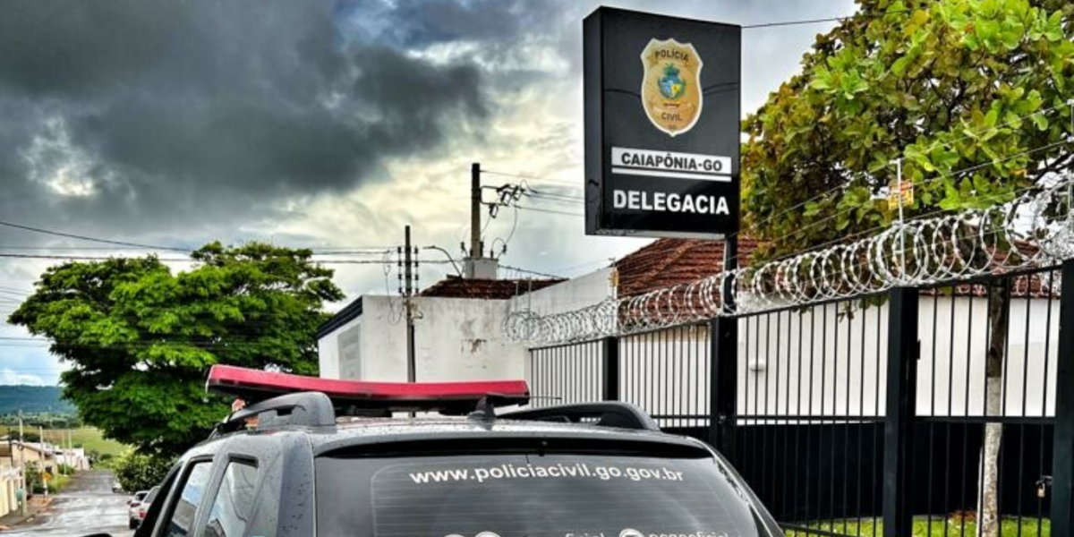 PCGO em apoio a PCMT prende investigado por furto de 100 toneladas de milho no MT