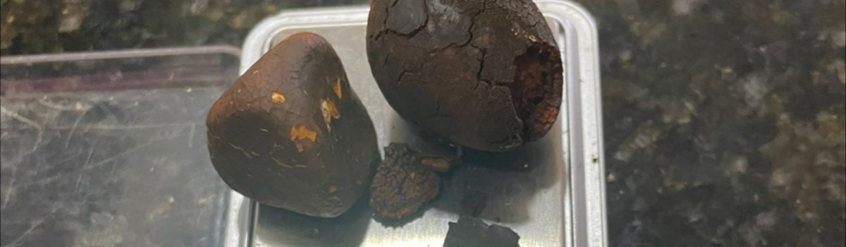 PCGO prende dupla em flagrante em Cachoeira Alta por furtar pedras biliares de frigorífico