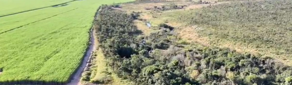 PCGO vistoria áreas de preservação permanente em regeneração em Chapadão do Céu