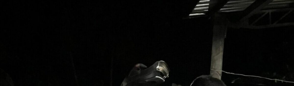 Polícia Civil prende investigado por homicídio ocorrido após um desentendimento entre trabalhadores rurais de Campinorte