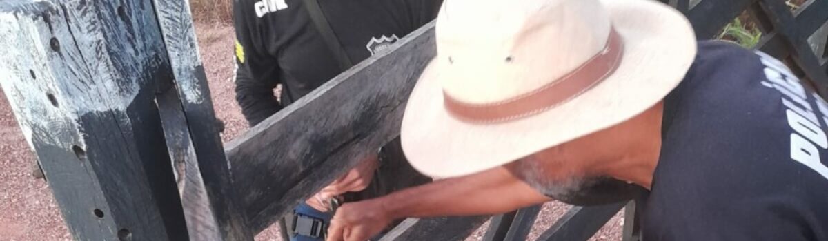 PCGO apreende carabina e munições com suspeito de ameaçar a ex-mulher em Monte Alegre de Goiás