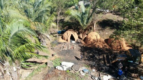 ‘Forno a Lenha’ PCGO deflagra operação com foco repressão de produção ilegal de carvão