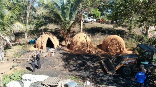 ‘Forno a Lenha’ PCGO deflagra operação com foco repressão de produção ilegal de carvão