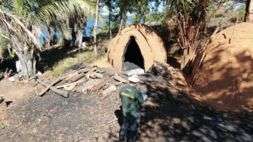‘Forno a Lenha’ PCGO deflagra operação com foco repressão de produção ilegal de carvão