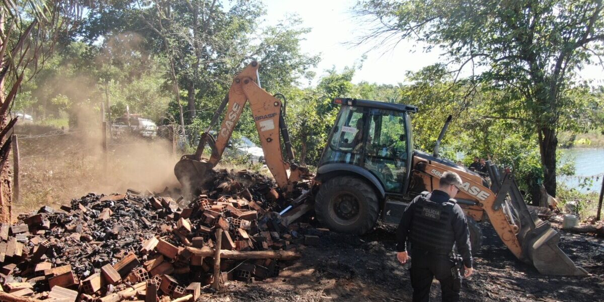 ‘Forno a Lenha’: PCGO desativa fornalhas usadas para produção ilegal de carvão