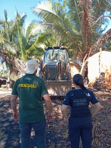 ‘Forno a Lenha’ PCGO deflagra operação com foco repressão de produção ilegal de carvão