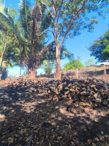 ‘Forno a Lenha’ PCGO deflagra operação com foco repressão de produção ilegal de carvão