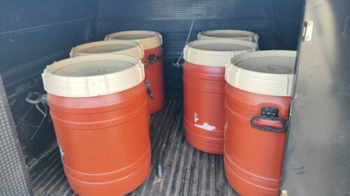 ‘Operação Reação Adversa’: PCGO e PCSC cumprem mandados por falsificação, adulteração e comercialização de anabolizantes e medicamentos