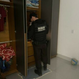 ‘Silêncio Rural’: PCGO investiga esquema de furto de gado e intimidação de produtor rural em Baliza