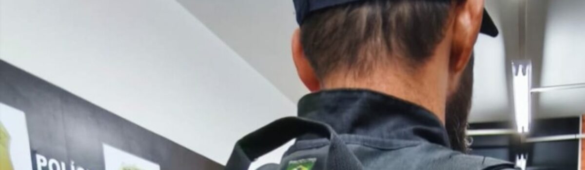 Ação conjunta entre PCGO e PMGO revela galpão com peças de veículo roubado