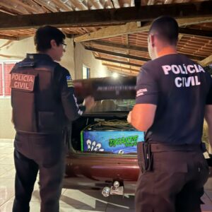 PCGO apreende armas e prende homem por ameaça à ex companheira