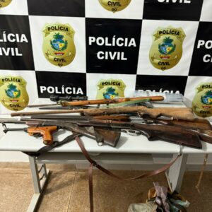 PCGO apreende armas e prende homem por ameaça à ex companheira