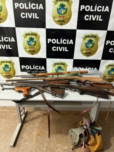 PCGO apreende armas e prende homem por ameaça à ex companheira