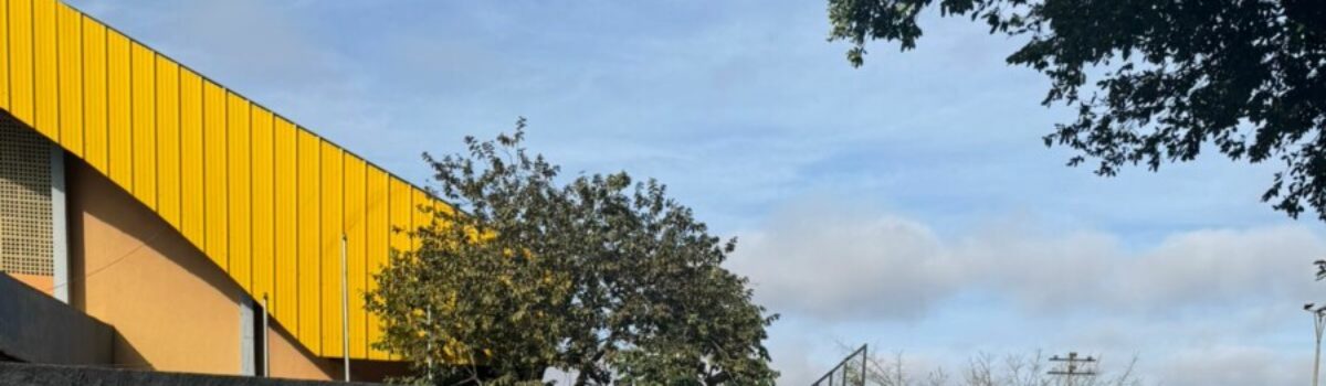 PCGO apreende mais de 500 rodas veiculares suspeitas de furto/roubo em Goiânia