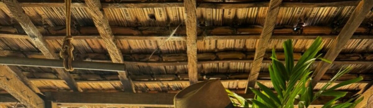 PCGO cumpre busca e apreensão em investigação de violência doméstica em fazenda de Moiporá