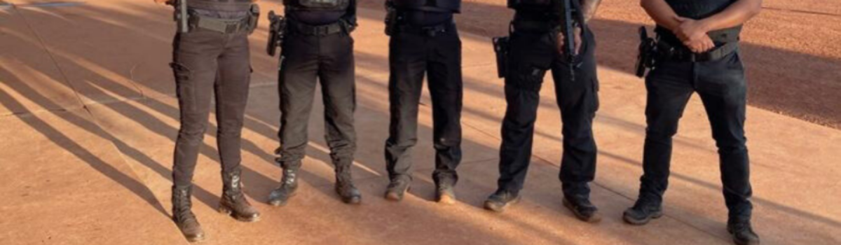 PCGO cumpre buscas contra homem suspeito de usar arma de fogo para ameaçar de morte ex-companheira