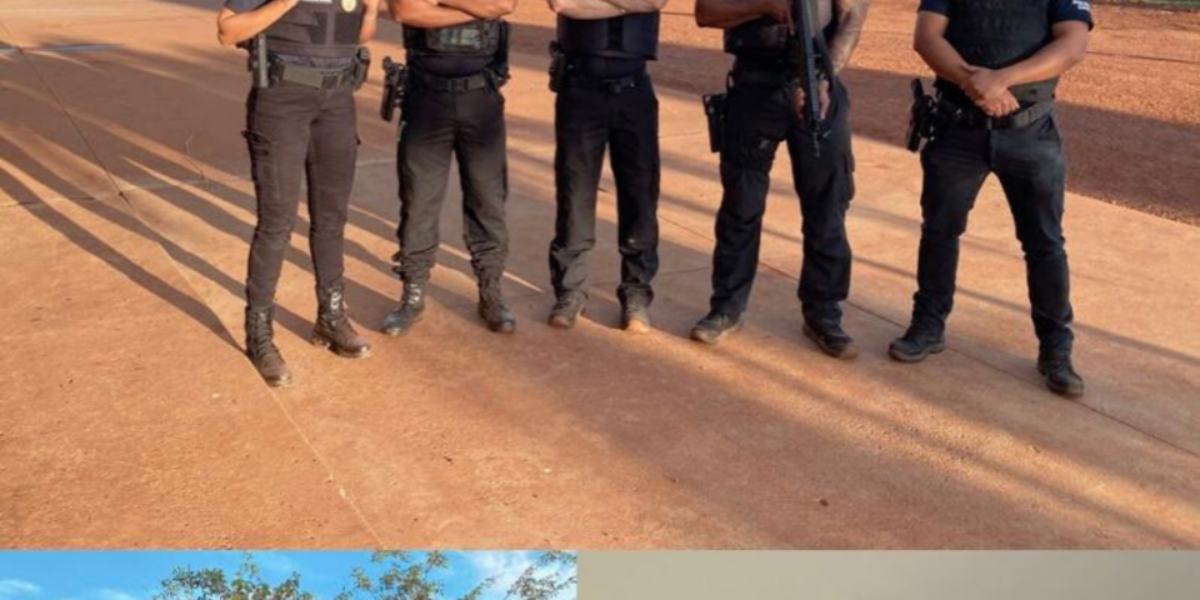 PCGO cumpre buscas contra homem suspeito de usar arma de fogo para ameaçar de morte ex-companheira
