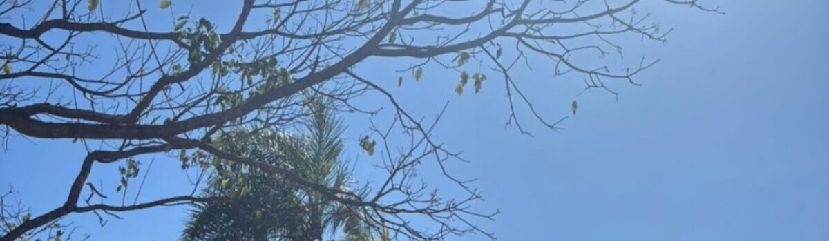 PCGO cumpre mandado judicial em investigação de tentativa de homicídio; vítima foi mantida dias em cárcere