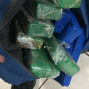 PCGO cumpre mandados em GO, MG e SP e desmantela grupo criminoso voltado a roubo de cargas no sul goiano