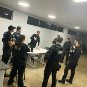 PCGO cumpre medidas judiciais contra investigados por fraudes eletrônicas com prejuízo de R$ 8 milhões