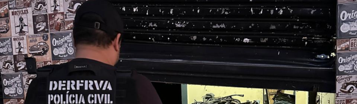 PCGO desmantela associação criminosa que desmontava veículos furtados para revenda de peças