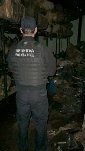PCGO cumpre medidas judiciais em desfavor de associação criminosa envolvida na receptação de veículos subtraídos