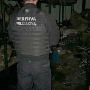 PCGO cumpre medidas judiciais em desfavor de associação criminosa envolvida na receptação de veículos subtraídos