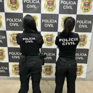 PCGO deflagra operação contra estelionato virtual em São Paulo