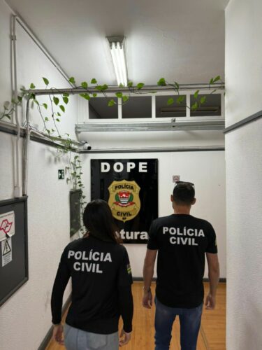 PCGO deflagra operação contra estelionato virtual em São Paulo