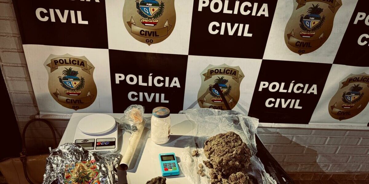 PCGO desarticula organização criminosa ligada ao tráfico de drogas e causa prejuízo de R$ 100 mil ao crime