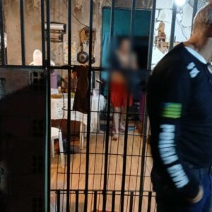 PCGO e Fisco Estadual deflagram operação de combate à sonegação fiscal envolvendo empresas madeireiras e de carvão vegetal