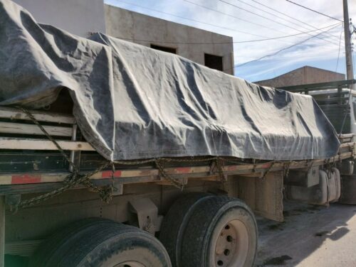 PCGO e MAPA reprimem fabricação e comércio de produtos veterinários impróprios ao consumo