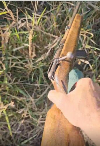 PCGO indicia homem que tentou matar produtor rural em Israelândia