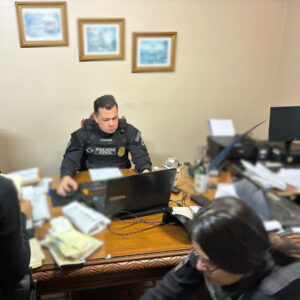 PCGO investiga agentes por produção de postes públicos para propriedade rural particular em Pontalina