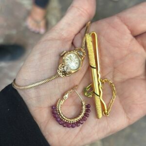 PCGO prende em flagrante funcionária doméstica suspeita de furtar mais de R$ 500 mil para sustentar vício em jogos de azar