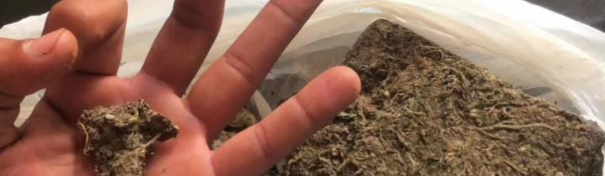 PCGO prende homem por tráfico após anunciar drogas em rede social, em Abadiânia