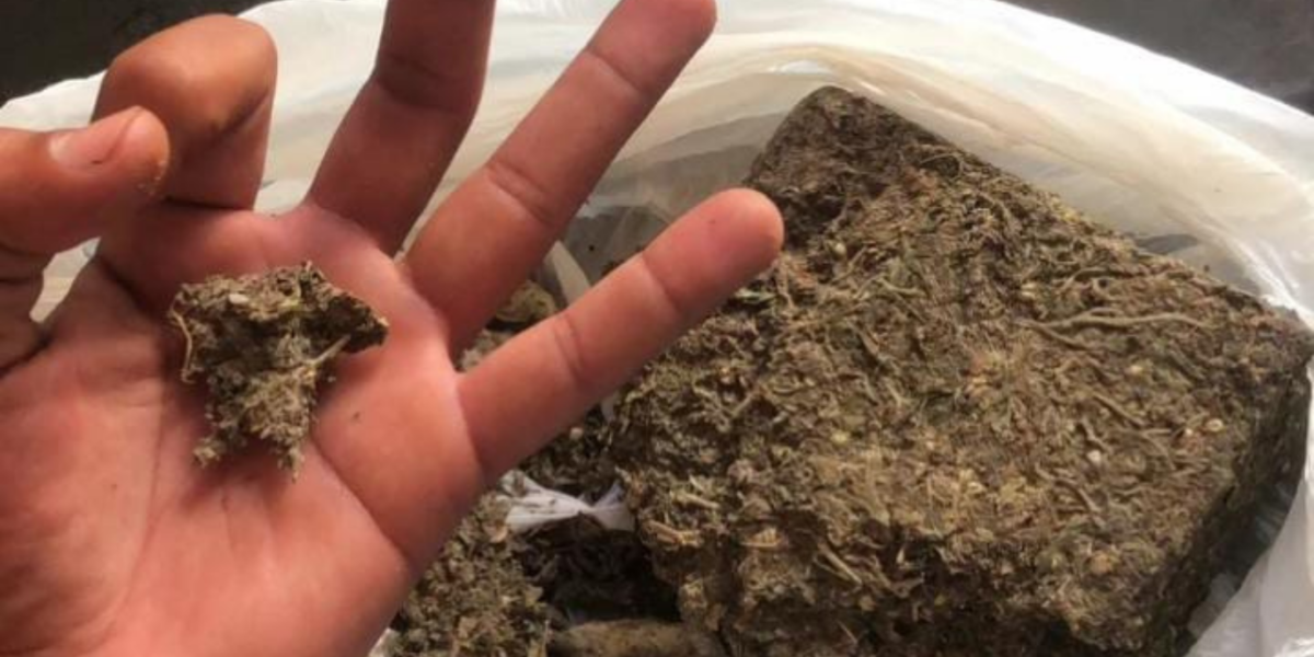 PCGO prende homem por tráfico após anunciar drogas em rede social, em Abadiânia