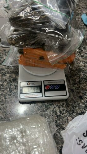 PCGO prende investigado por homicídio e localiza grande quantidade de drogas